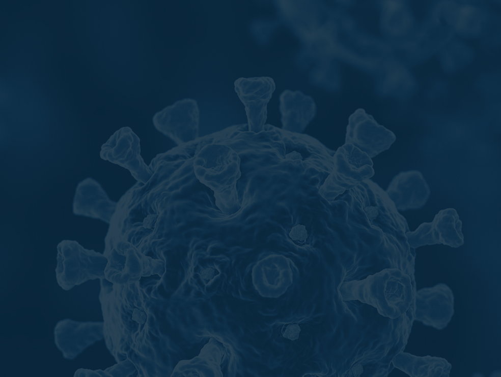 A Scalable Solution for High-Intensity COVID-19 Vaccine Registrations