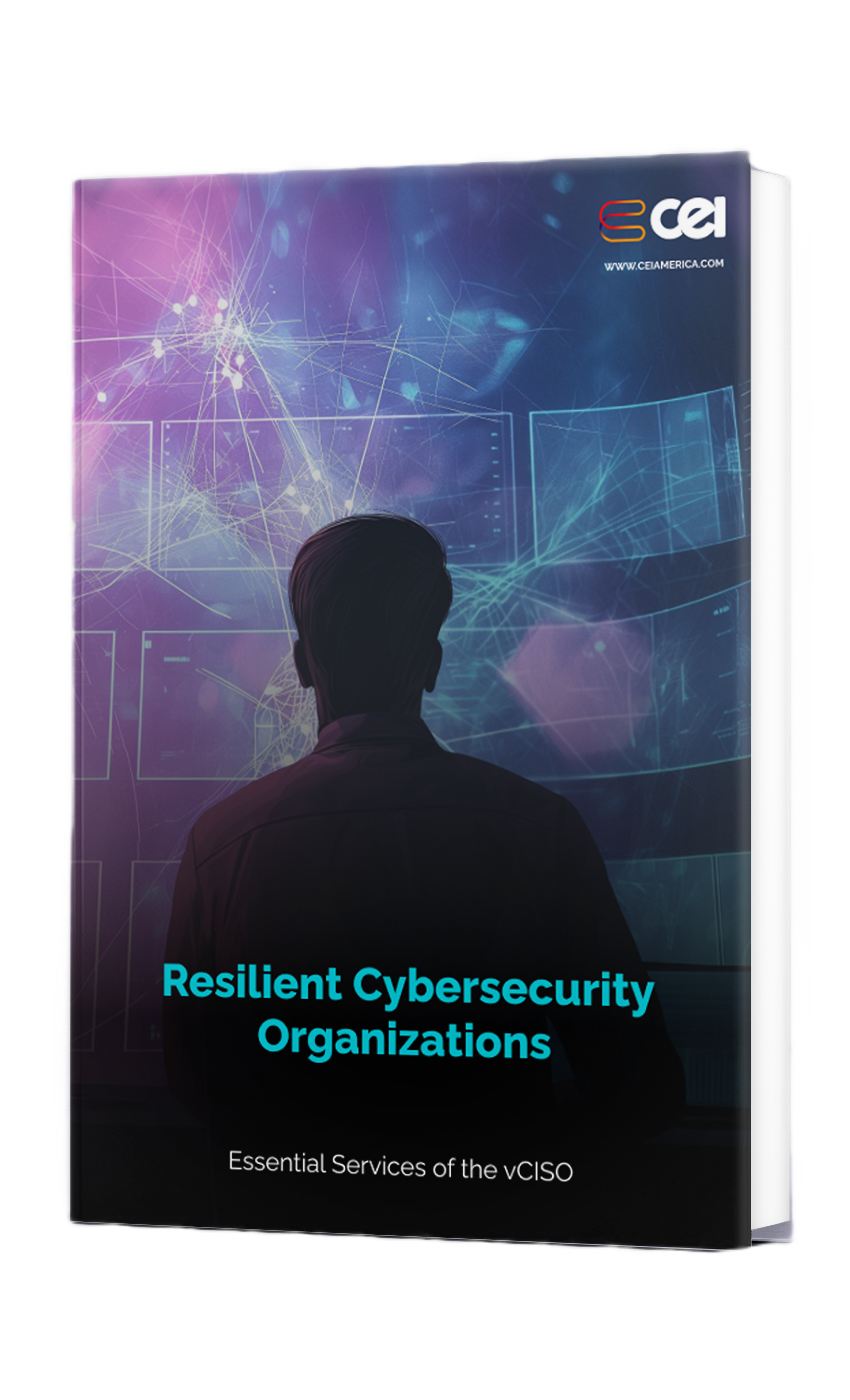 Essential Services of the vCISO