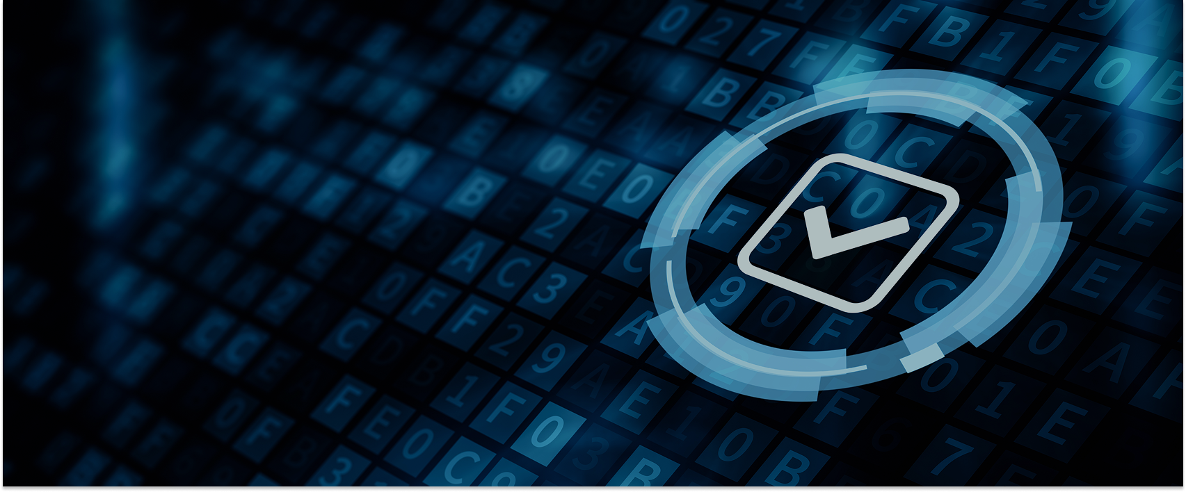 Foundations of SOX Compliance